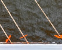 IMG_3466 05/08/2018 - On ne va pas emporter de rats dans les cales grâce aux
